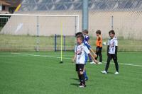IMG_9006.jpg