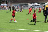 IMG_9019.jpg